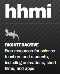 Biointeractive logo